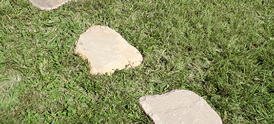 stepping stones
